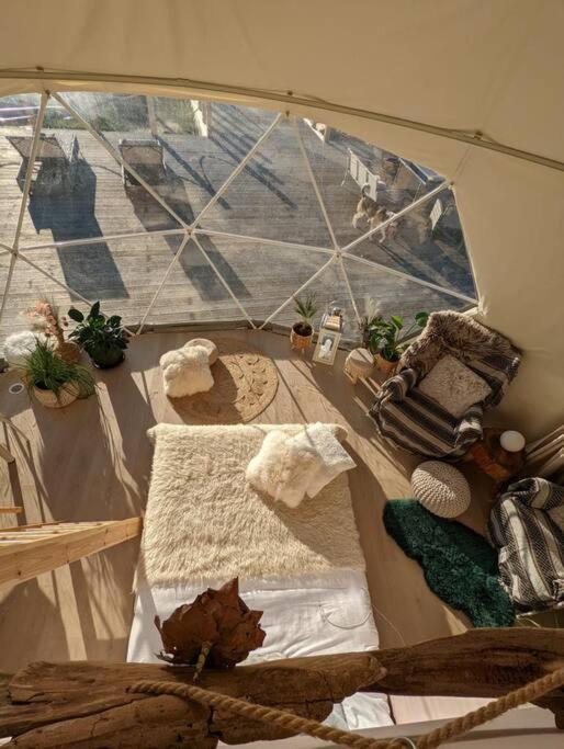 Beautiful Located Dome Hotel Wapnica  Buitenkant foto